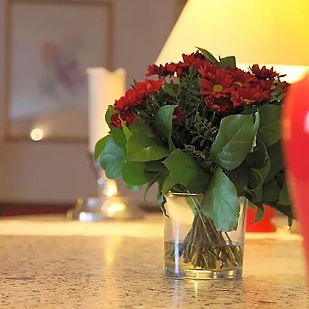 Cityhotel Amadeus Hotel Munster (North Rhine-Westphalia)