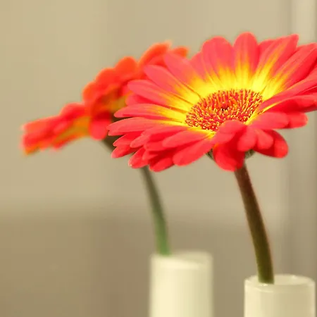 Cityhotel Amadeus 3*