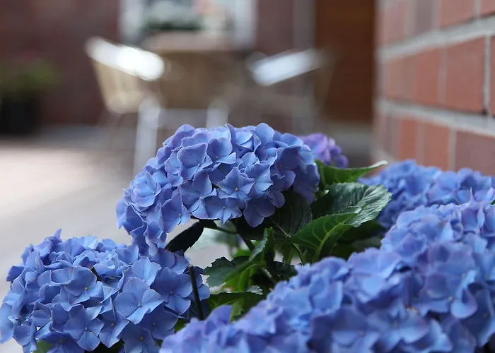 ホテル Cityhotel Amadeus 3*