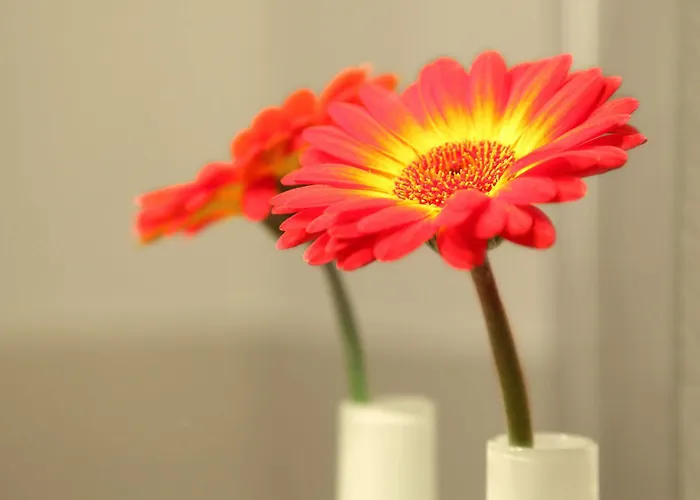 Cityhotel Amadeus 3*